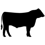 The Local Farmer – Angus beef